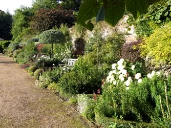 The Formal Garden